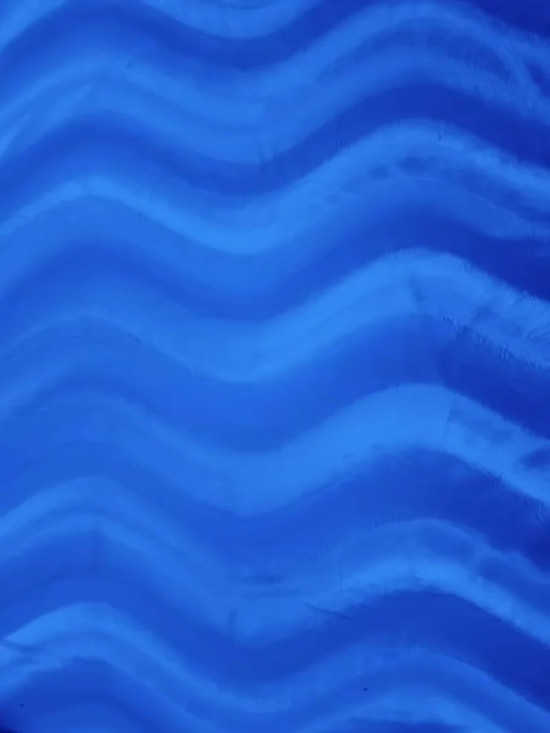 Royal Blue Velboa Solid Wavy Short Pile Fabric / Sold By The Yard