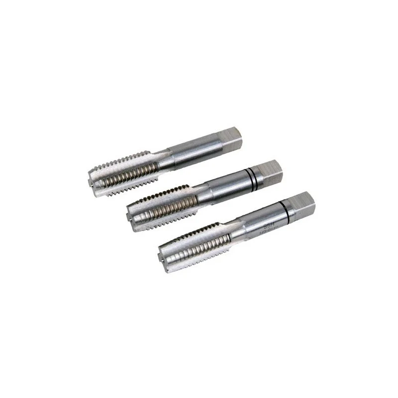 Juego de Machos de Rosca manual HSS Ferg M3-6H